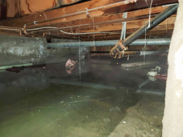 Best Water damage restoration near me  in Middletown, CT