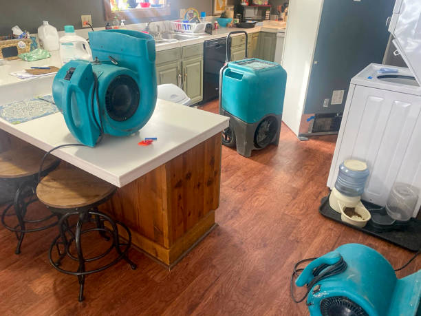 Best Water damage restoration insurance claims  in Middletown, CT