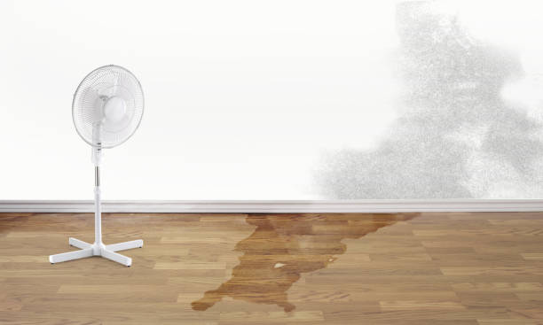 Water damage restoration mold remediation in Middletown, CT