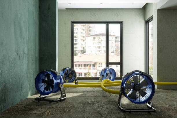 Best Water damage repair service  in Middletown, CT